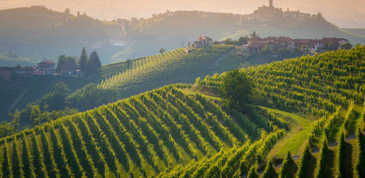 Parusso winery in Piedmont or Piemonte in the Northern Italy. Learn more about Barolo wines in a podcast episode with Giulia Parusso, a fourt-generation winemaker tells about family's history, Mariondino and Bussia wines in Sierra Hos podcast.